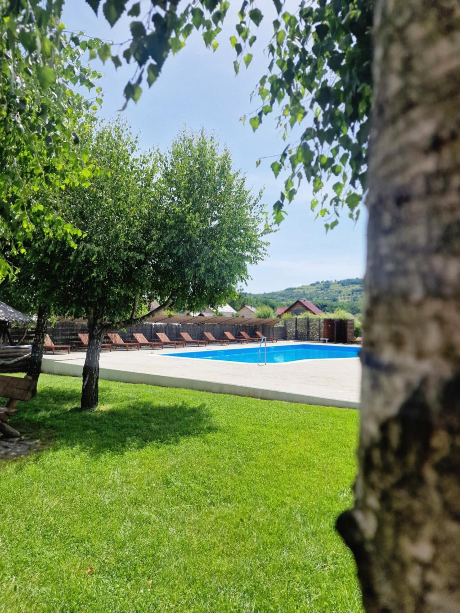 Bed and Breakfast Casa Tomsa Rozavlea Esterno foto